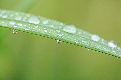 《黑暗之魂3》“血源”风格mod发布 PC玩家的福音